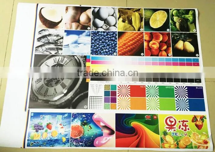 1.8m high speed eco solvent printer