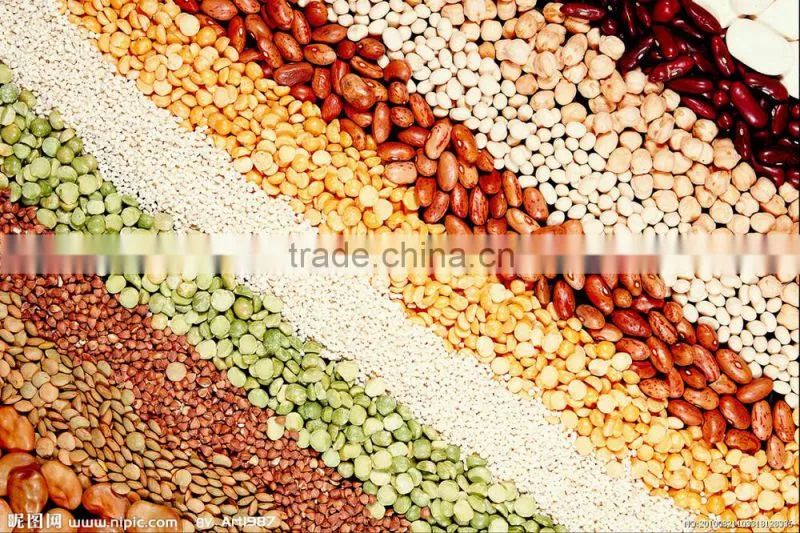 high protein wheat flour production line / high protein wheat flour mill stone