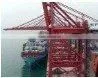 high quality sea shipping service in China