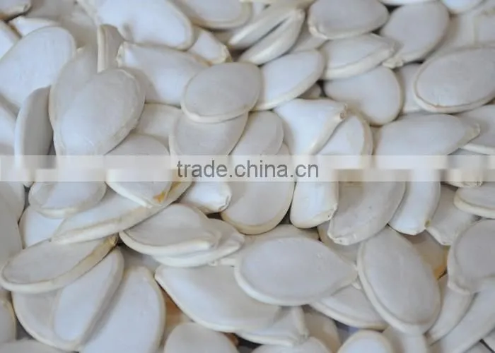snow white pumpkin seed in shell