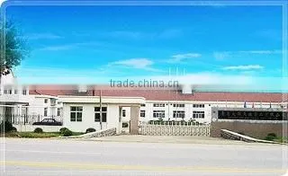 Qingdao DYTD Foods Co., Ltd. company overview - view 2