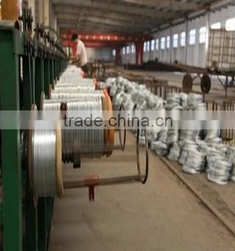 Low Price Electro Galvanized Straight Cut Wire from JINZHOU FACTORY