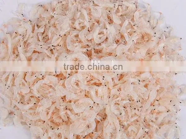 wholesale dried fresh water baby shrimp seafood