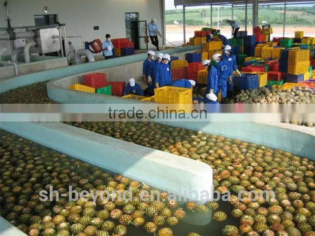 Complete Pineapple Fruit Processing Line