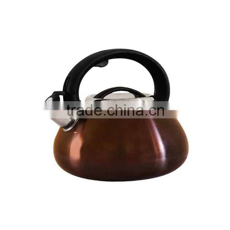 Capsulated Bottom camping tea whistling kettle stainless steel water jug for all heater