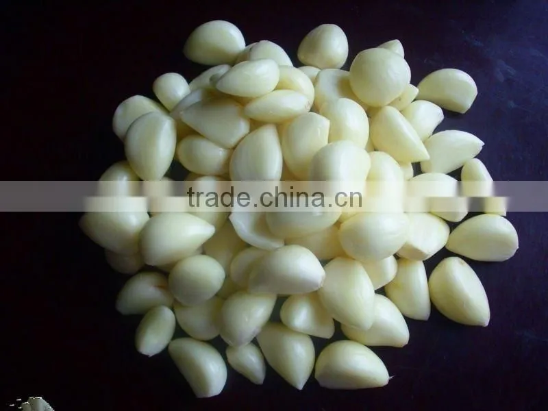 Hot sale garlic peeling machine/small garlic peeling machine