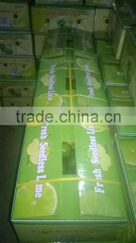 FRESH LEMON & FRESH LIME BEST price