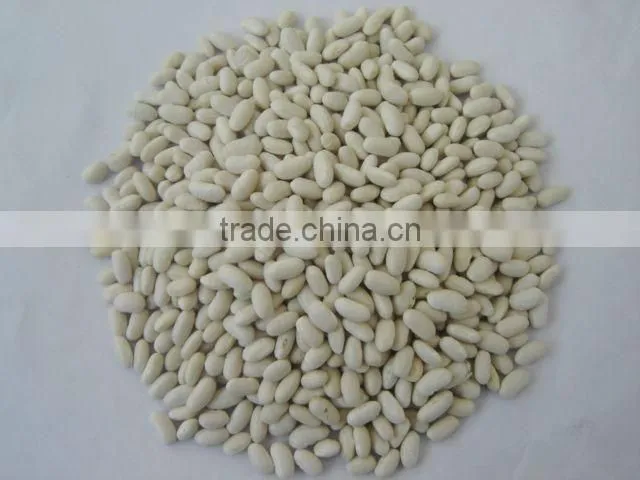 2014 different varieties of white kidney beans from China with cheap price