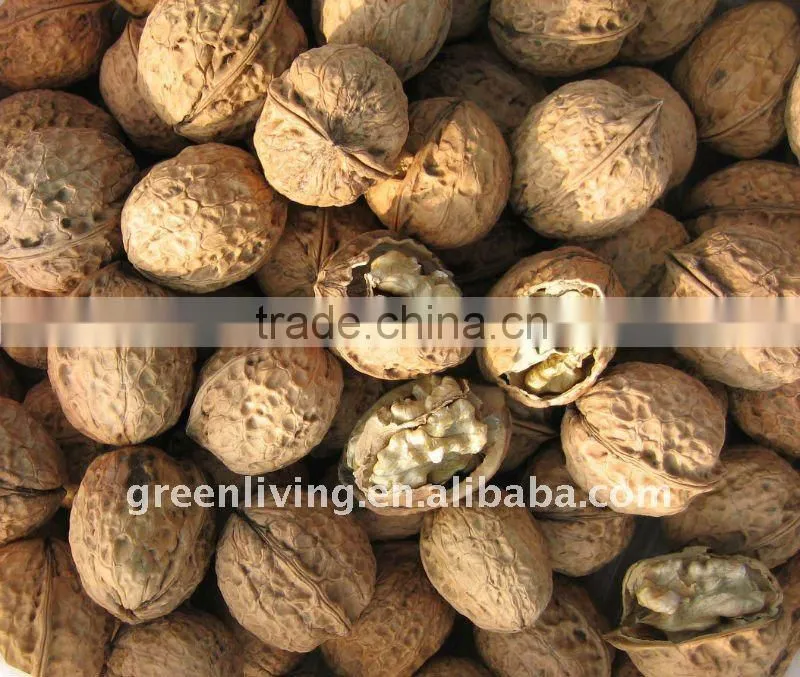 supplying 2012 fresh dried walnut of China