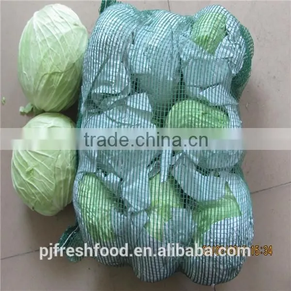 Hot sale Chinese Big White long Cabbage
