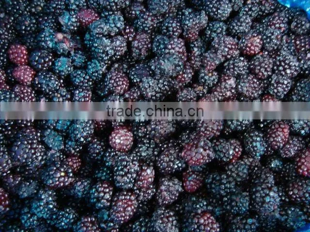 Berries Product Frozen Blackberry Grade A