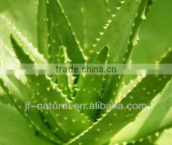 Aloe Polysaccharide manufacture with ISO, GMP, HACCP, KOSHER, HALAL certificated