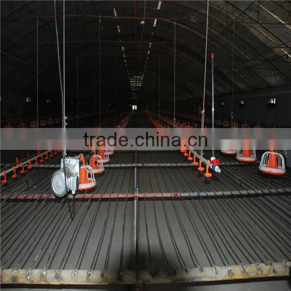 feeding system for chicken farm