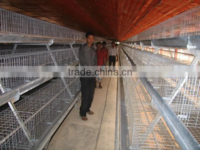 9WCD-3198 A-type Pullet Chicken Cage for Chicken Products