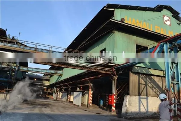 All kinds of size /samll scale palm oil refining machinery