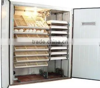 automatic egg incubator
