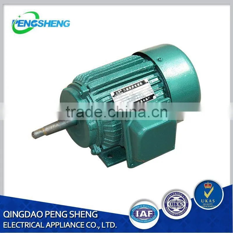 High Voltage Three Phase Asynchronous Motor