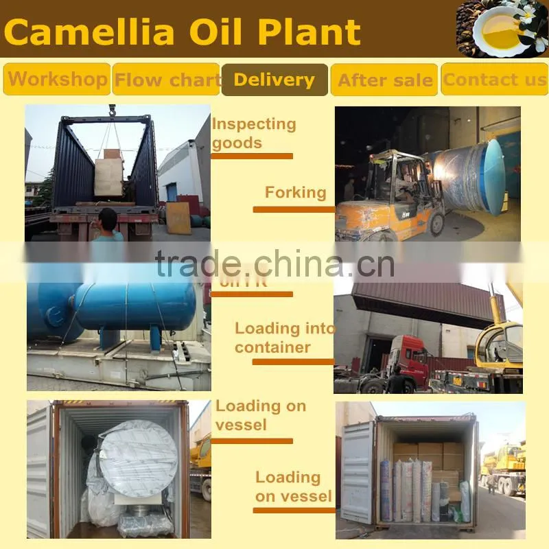 Hot Sale Green Tea Seed Oil Machine Processing Plant CE ISO