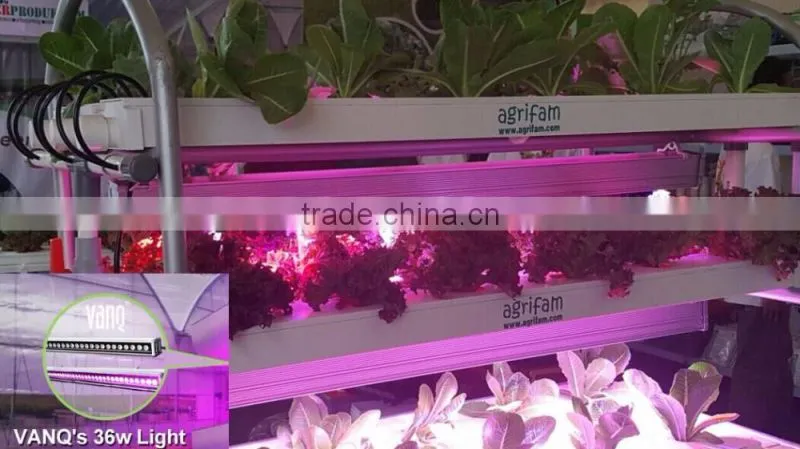 Factory vanq led grow light waterproof led grow light bar/lamp plant grow light