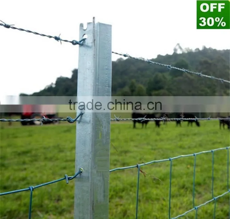 DPBD Q195 Galvanized Y Star Pickets