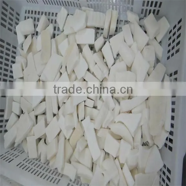 giant squid cut/best frozen seafood
