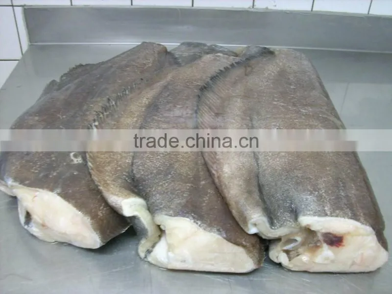 Halibut