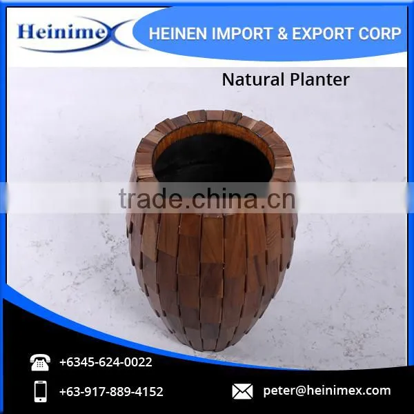 Acasia Wood and Fiber Glass Made Planters at Reasonable Price