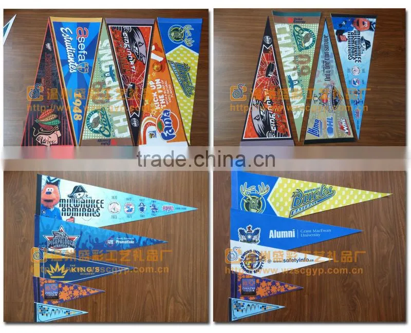 Argentina flag/