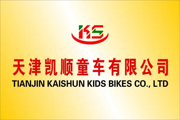 Tianjin Kai Shun Kids Bikes Co., Ltd company overview - view 1