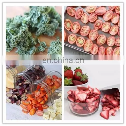 Food freeze dryers sale mini freeze drying machine