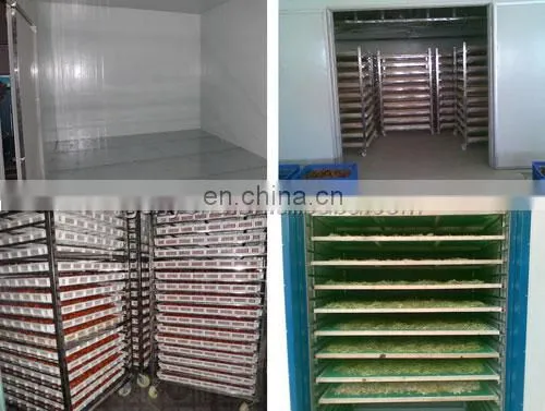 Food drying equipment/ fruit dryer/microwave drying machine