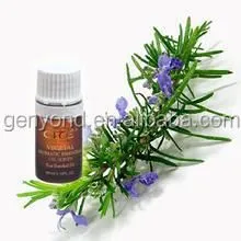 Clove Oil Extraction Nature Plant Extract Clove Essential Oil Extraction Machine