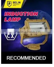 SBD1109 Induction Lamp IP66 WF1