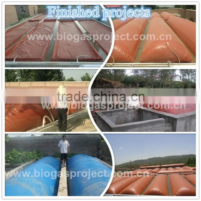 industrial biogas digester