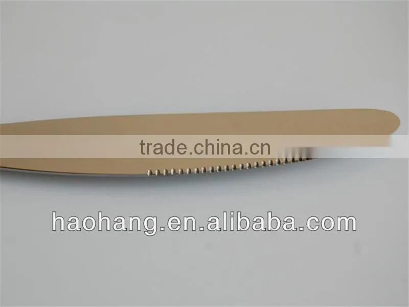 Stainless steel dinner knife for restaurant