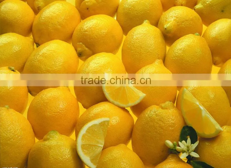 China machine low price multifunction lemon squeezer,fresh fruit squeezer