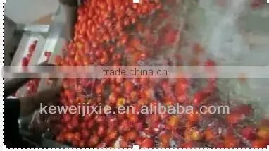 tomato paste production line