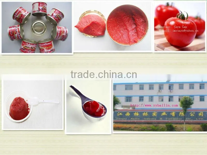 good quality canned tomato paste 28-30% 425g