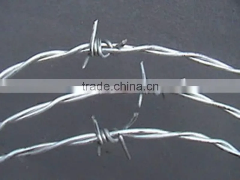 Guangzhou manufacture barbed wire roll price fence