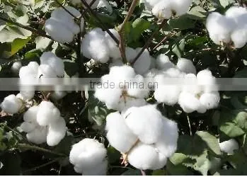 100% nature cotton batting wadding for quilt