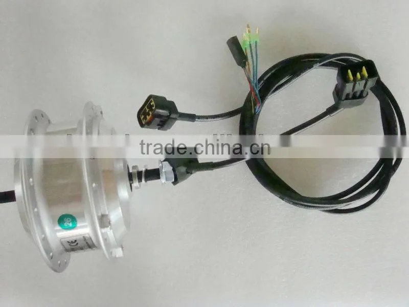 Ebike Conversion Kit-Rear Direct Motor with Rack Lithium Battery