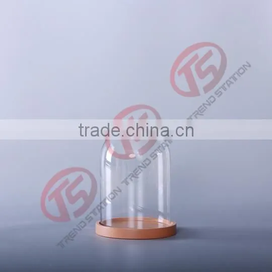 small glass dome with colorful base