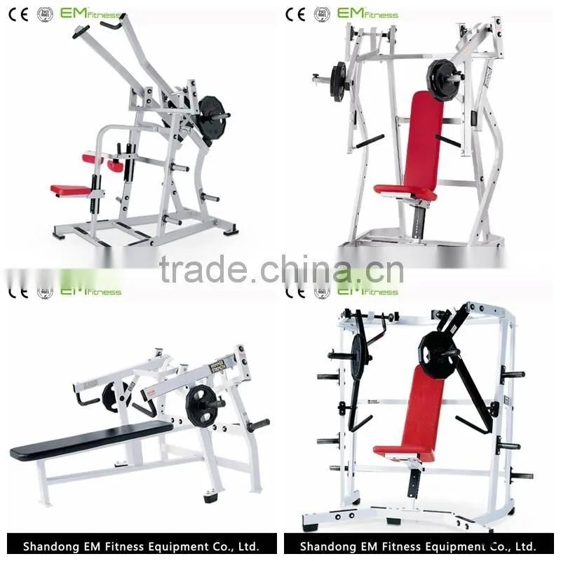 life fitness equipment Roman chair back extension