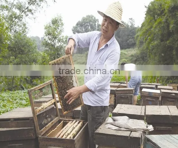 full set langstroth beehive include outer cover+inner cover+honey supper+deep hive body+bottom board and bee