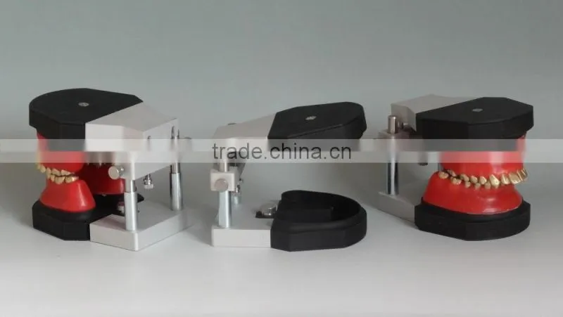 Dental orthodontic operational training model DEA-32