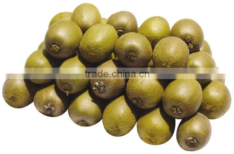 2012 fresh kiwi fruit