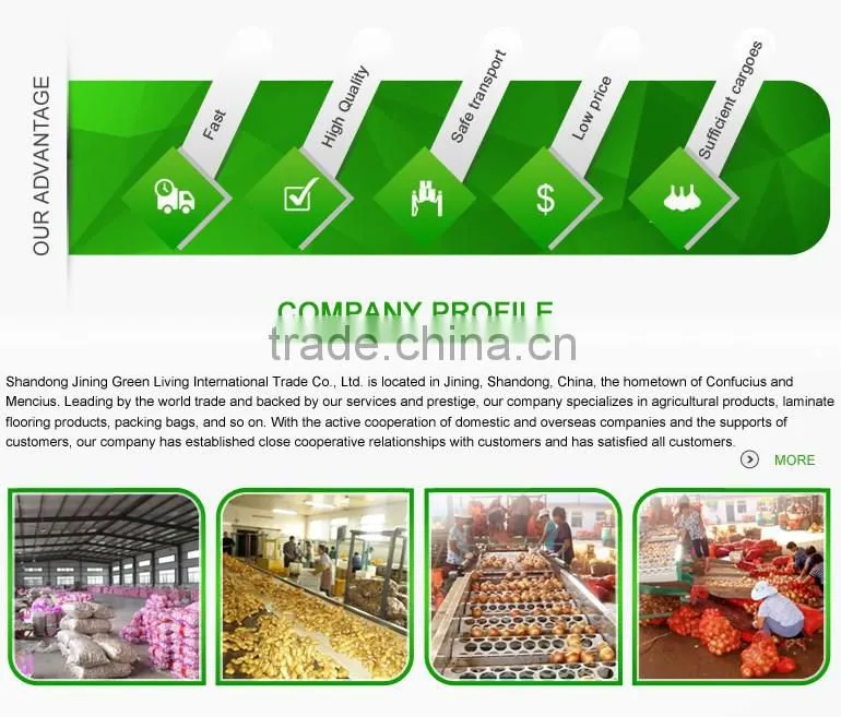 World Best Selling Products Grade A Fresh Onions