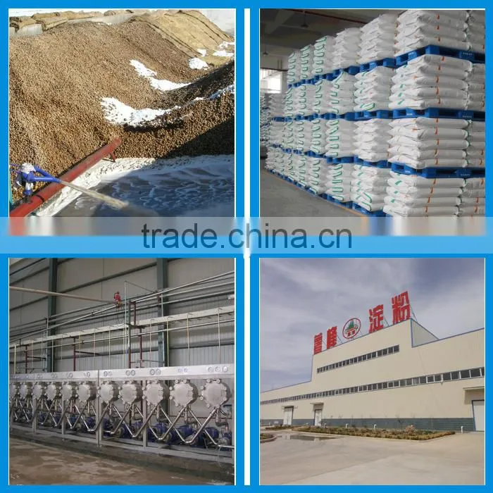 Yam starch making machine full automatic starch processing line