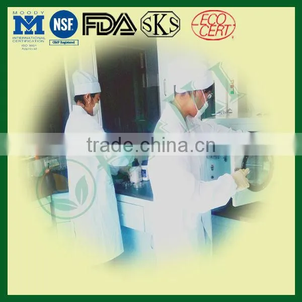 Organic Borage Oil(Omega 3&6 series) from china,hot selling goods fro wholesale
