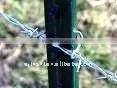 Barbed Wire Post